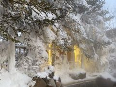 -汉拿山温泉度假酒店