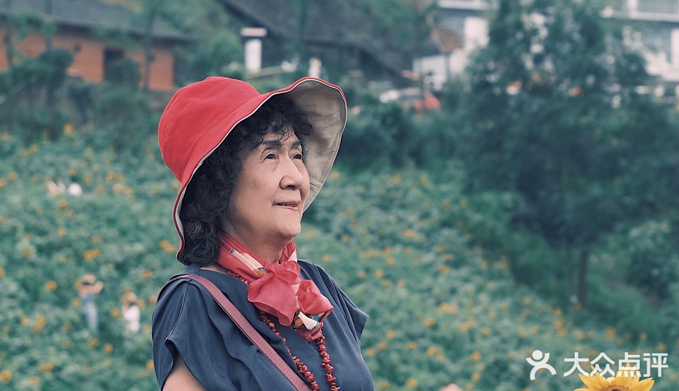 七月𝗦𝗨𝗠𝗠𝗘𝗥限定🌞母亲与向日葵🌻有约