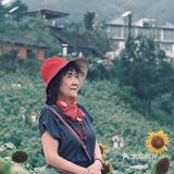 七月𝗦𝗨𝗠𝗠𝗘𝗥限定🌞母亲与向日葵🌻有约