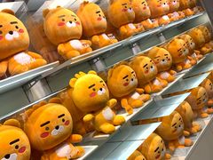 -KAKAO FRIENDS(弘大店)