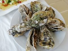 -渔民船说·北塘海鲜·天津菜·海肠捞饭(北塘古镇店)