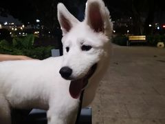 -光明港公园