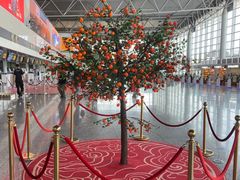 -石家庄正定国际机场-T2航站楼