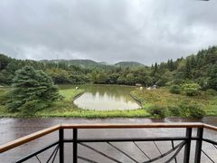 -武陵山森林公园