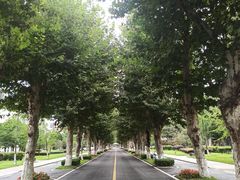 -四川大学(望江校区)