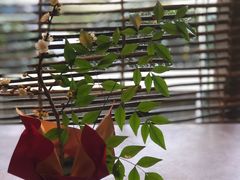 -逸廊大堂吧-下午茶·简餐-千岛湖自由洲际殿