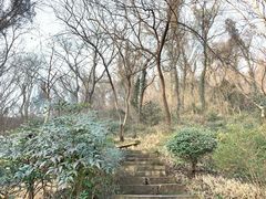 -南京市江宁方山