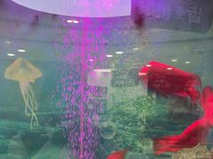 -雅悦齿科(顾村公园店)