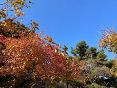 -香山公园