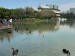 -五缘湾湿地公园
