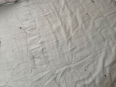 -e嘉宠物店(北大街店)