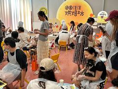 -帕帕拉兹宠物(亚洲旗舰店)