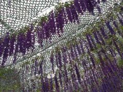 景点-上海欢乐谷