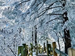 -西岭雪山大飞水景区