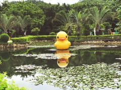 -汕头莲花山度假村温泉