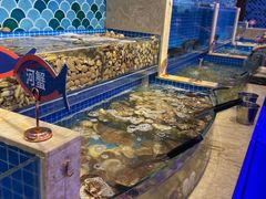 大扇贝-乔哥铭洋海鲜自助(皇城恒隆广场店)