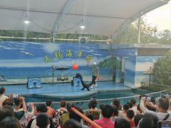 -无锡动物园·太湖欢乐园
