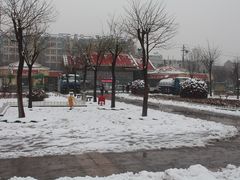 -张店儿童公园