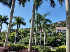 -厦门国家会计学院