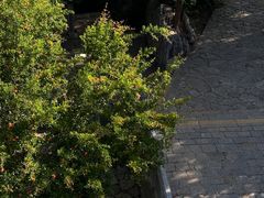 -云龙山