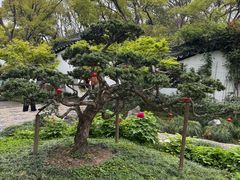 -绮园景区