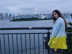 -台场海滨公园船码头