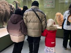 -国家自然博物馆