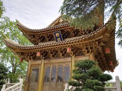 -上海东林寺(金山区)
