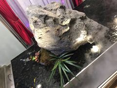 -俏江南天津时尚曲艺主题餐厅(马场道店)