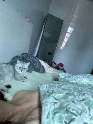 -+奈造型设计