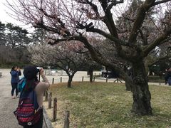 -名古屋城