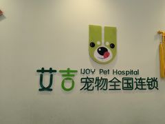 -艾吉宠物医院·疑难杂症转诊中心·猫友好(碧江路院)