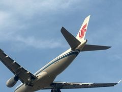 -空港花田景区