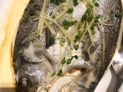 -京粤荟(海王银河科技大厦店)