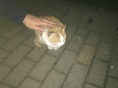 -苏州河梦清园环保主题公园