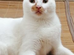 -夜猫子串吧·龙虾.江西小炒(万塘路店)