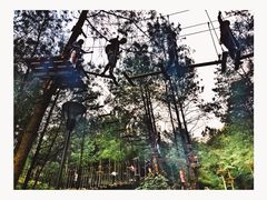 -梦幻奥陶纪景区