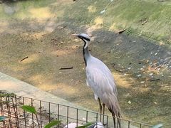 -杭州动物园