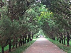 -洛阳市隋唐城遗址植物园