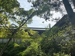 -鹤冈八幡宫