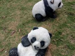 -金汤湾海水温泉度假酒店