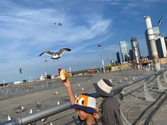 -东港音乐喷泉广场