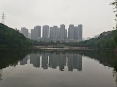 -重庆彩云湖湿地公园