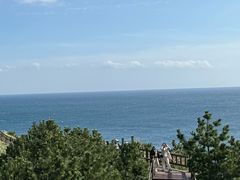 -西归浦每天偶来市场