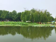 -云居湖
