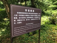 -苍山感通索道