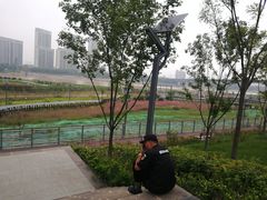 -灞河西岸滨河公园