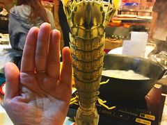 -鲜入围煮花胶鸡海鲜火锅