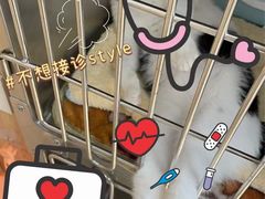 -瑞派雷欧宠物医院·24h夜诊·心脏骨科牙科·全科重症转诊中心(无影山店)