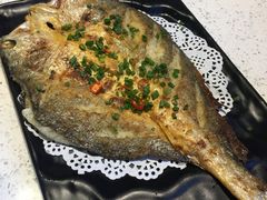 -九府羊·鲜羊火锅·烤串(新华路店)